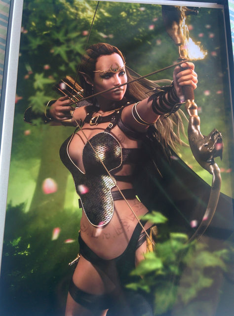 Art Print **Elf Warrior** 13x19 Inches